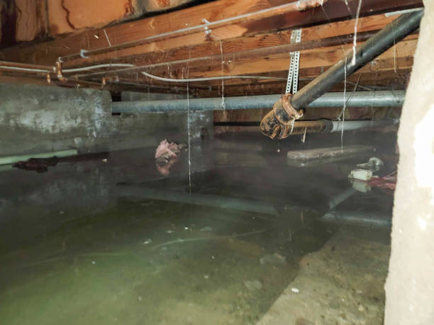 Best Flooded house restoration  in Enfield, NC