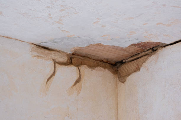 Best Basement water damage restoration  in Enfield, NC