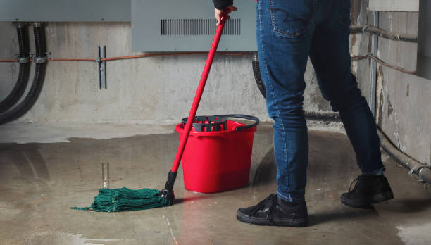 Best 24-hour water damage restoration  in Enfield, NC