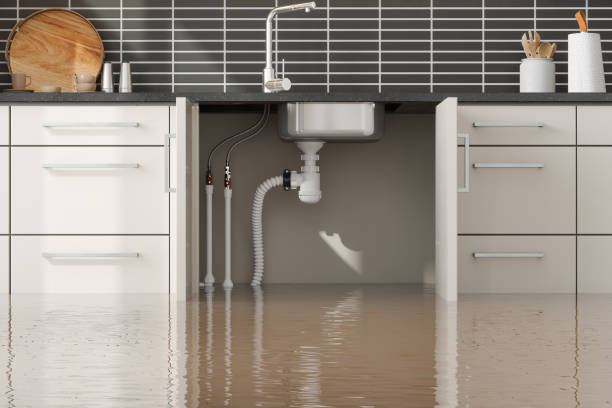 Best Mold removal after water damage  in Enfield, NC