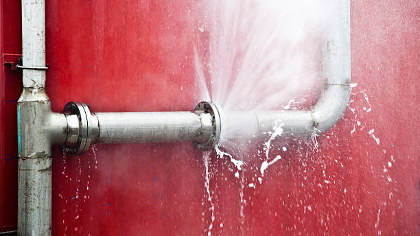 Best Water damage repair service  in Enfield, NC